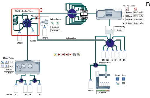Ion exchange method during collection of the intermediate peak. Time control file of ion exchange method definition of threshold function (A). Visualization of AZURA Bio Lab system in set up with sample pump (B).