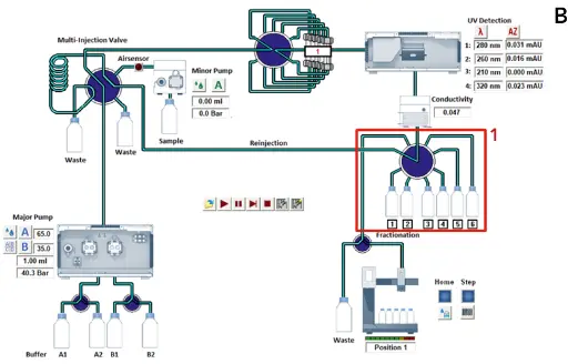 Ion exchange method during gradient elution. Time control file of ion exchange method (A). Visualization of AZURA Bio Lab system in set up with sample pump (B).
