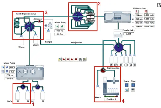 Desalting method. Time control file of desalting method (A). Visualization of AZURA Bio Lab system in set up with sample pump (B).