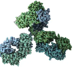 How to optimize your purification? Your guide for two step purification –principles and system set up