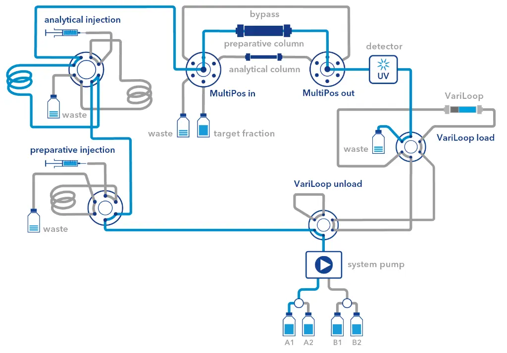 Flowchart overview for the scouting and purification step.