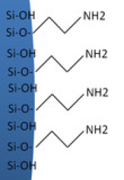 Abstracted illustration of a bonded amino group to silica.
