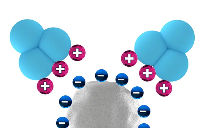 Automated two step purification with cation exchange chromatography and desalting