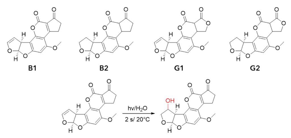 Chemical structures of the four aflatoxins and the reaction mechanism of the photochemical activation.