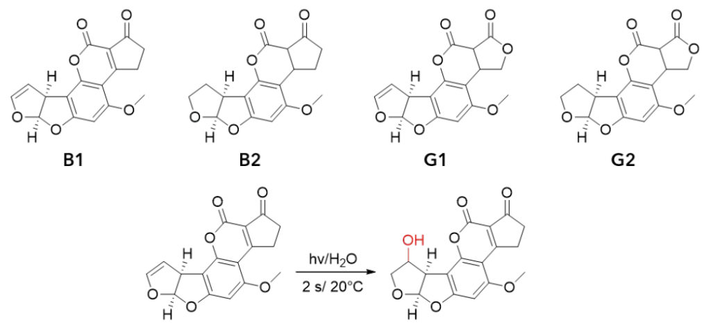 Chemical structures of the four aflatoxins and the reaction mechanism of the photochemical activation.