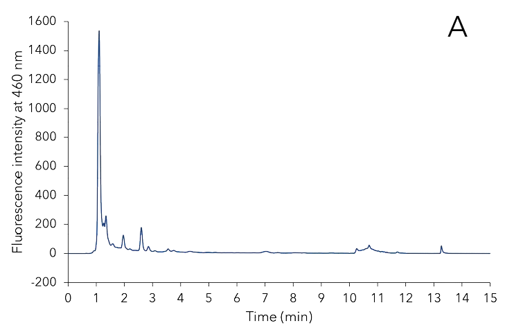Three different samples during extraction process. After the extraction with MeOH/H₂O (A), before SPE (B) and after the SPE extraction (C).