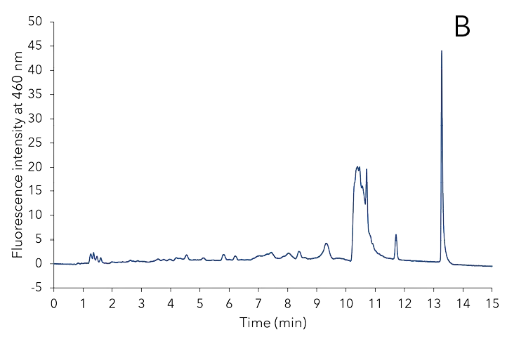 Three different samples during extraction process. After the extraction with MeOH/H₂O (A), before SPE (B) and after the SPE extraction (C).