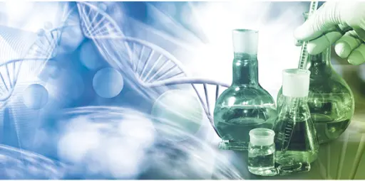 Large scale purification of oligonucleotides with ion exchange chromatography