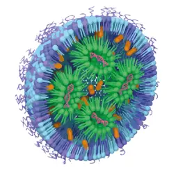 Development and optimization of LNP formulations – using the KNAUER NanoScaler