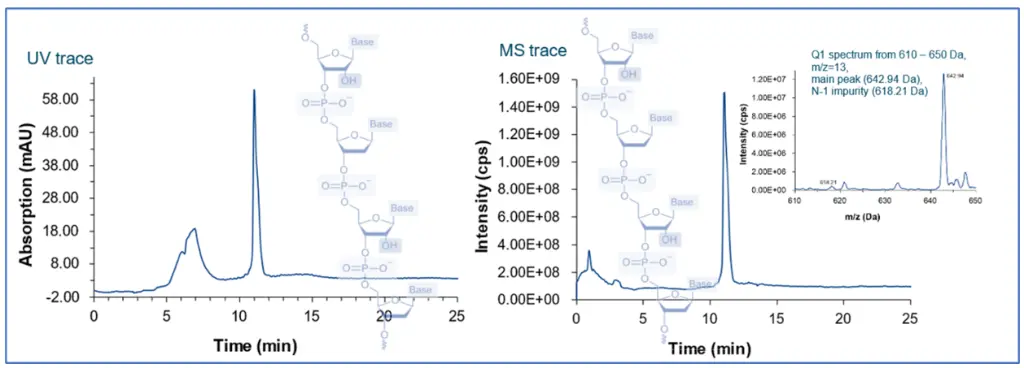 Separation Example of Oligonucleotides