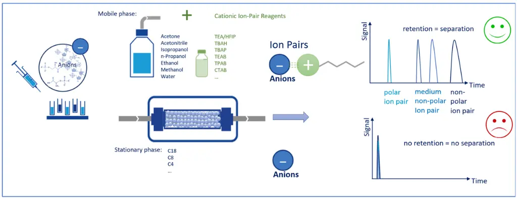 Ion-Pair Reversed Phase Principle