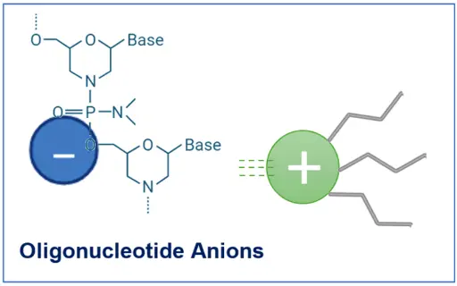 Cationic Ion-Pair Principle for Oligonucleotides