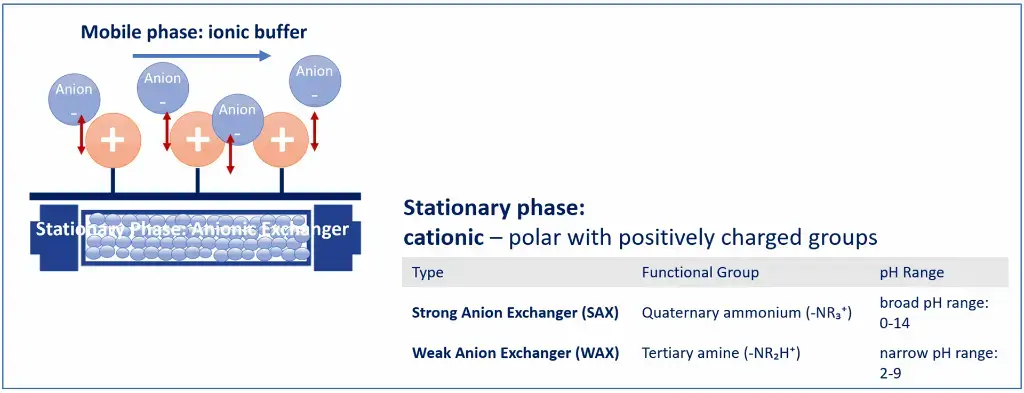 Ionic interactions and pH influence on Anion Exchange Chromatography (AEX)