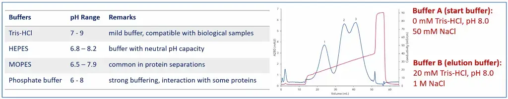 AEX buffer selection and gradient strategy (chromatogram with red buffer gradient curve)