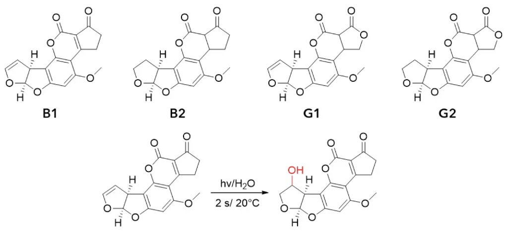 Chemical structures of the four aflatoxins and the reaction mechanism of the photochemical activation. Chemical structures of the four aflatoxins and the reaction mechanism of the photochemical activation.