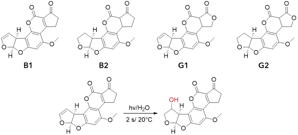 Chemical structures of the four aflatoxins and the reaction mechanism of the photochemical activation. Chemical structures of the four aflatoxins and the reaction mechanism of the photochemical activation.