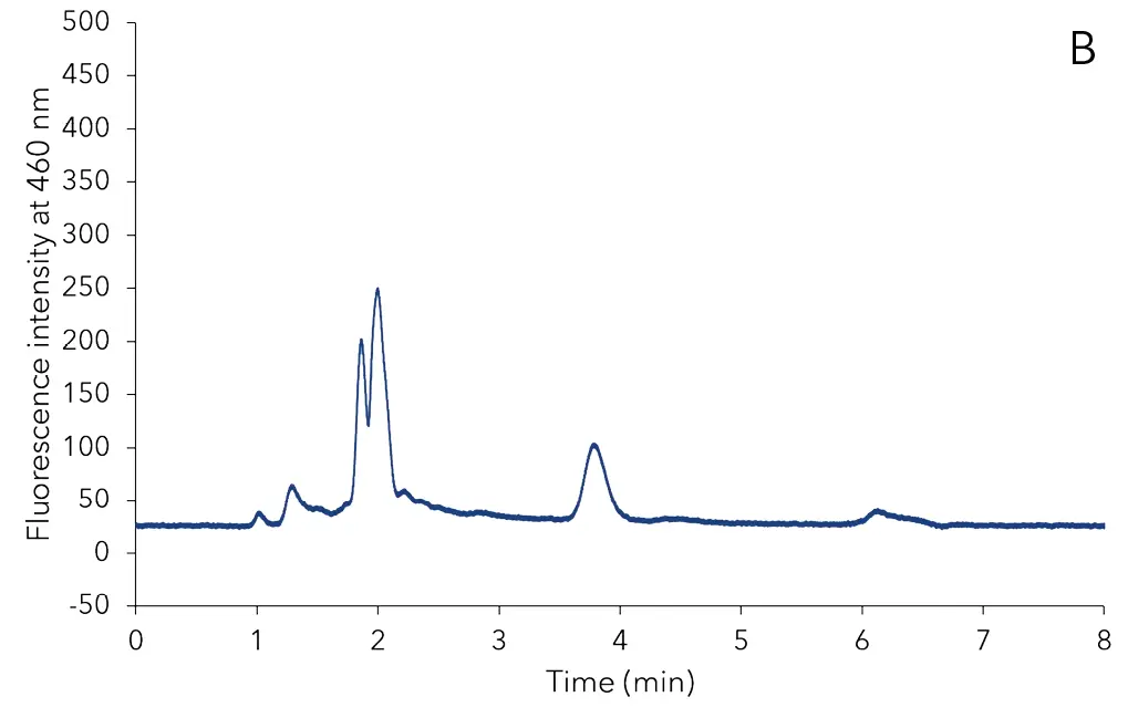 Two different chromatograms of cereal containing baby food extraction samples without aflatoxins. The extract of baby puree on the left (A) and the extract of baby rusk on the right site (B). Two different chromatograms of cereal containing baby food extraction samples without aflatoxins. The extract of baby puree on the left (A) and the extract of baby rusk on the right site (B).