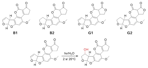 Chemical structures of the four aflatoxins and the reaction mechanism of the photochemical activation. Chemical structures of the four aflatoxins and the reaction mechanism of the photochemical activation.