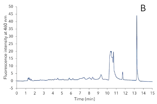 Three different samples during extraction process. After the extraction with MeOH/H₂O (A), before SPE (B) and after the SPE extraction (C). Three different samples during extraction process. After the extraction with MeOH/H₂O (A), before SPE (B) and after the SPE extraction (C).