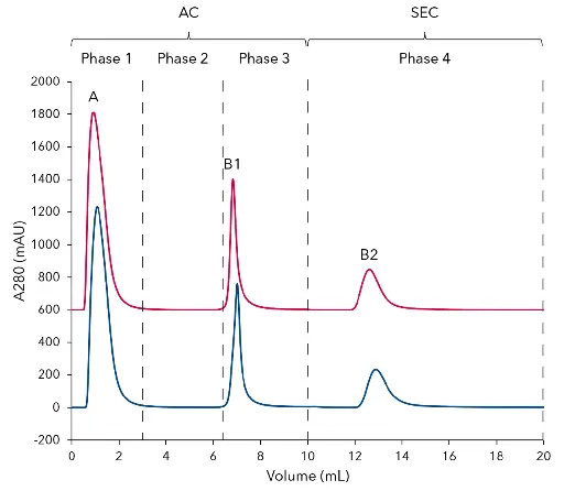 Overlay of chromatograms of the two step antibody purification