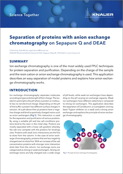 Separation of proteins with anion exchange chromatography on Sepapure Q and DEAE