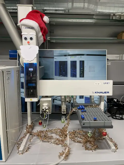 KNAUER LH8.1L festive edition