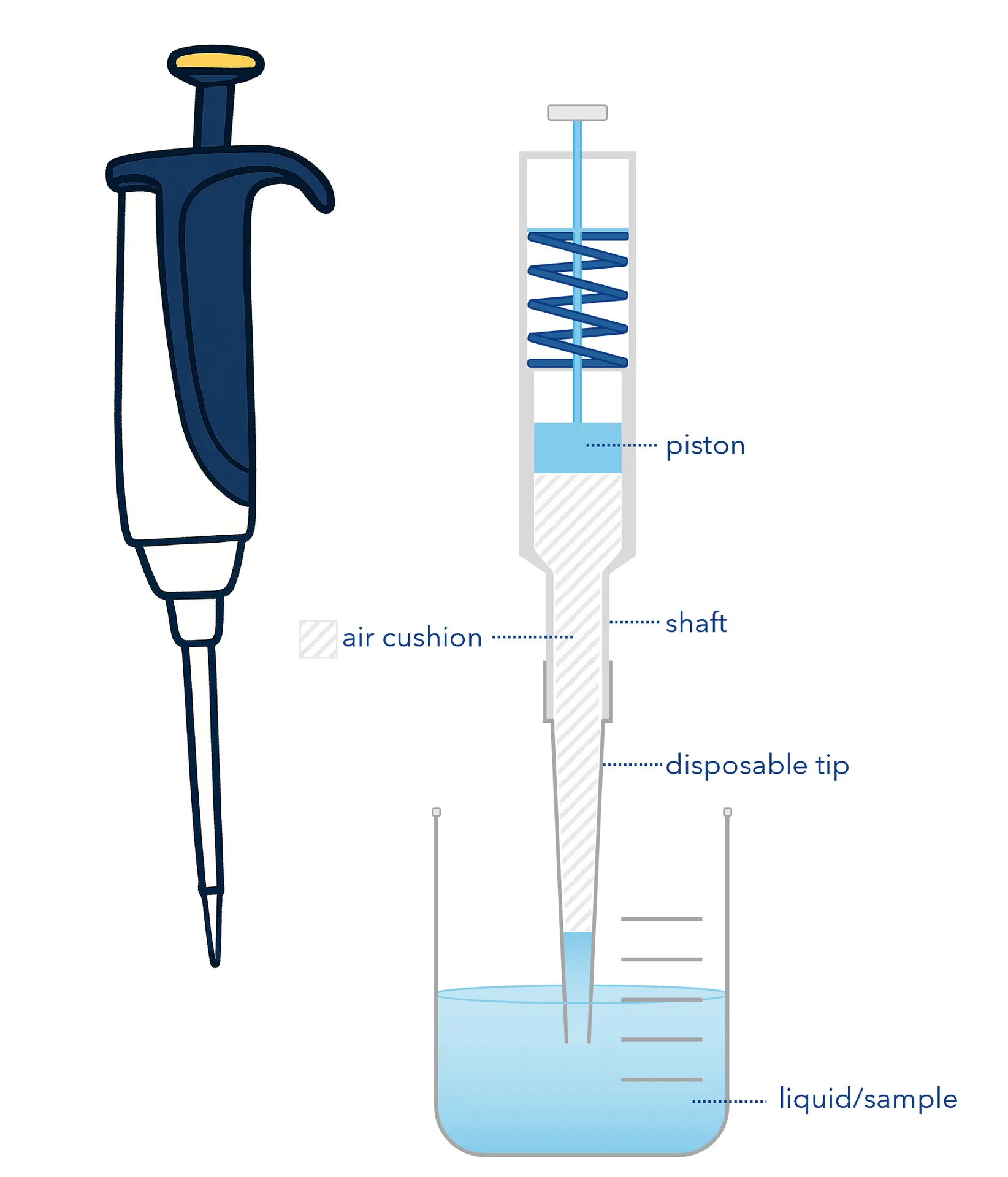 Air-displacement system. An air cushion separates the liquid from the piston.