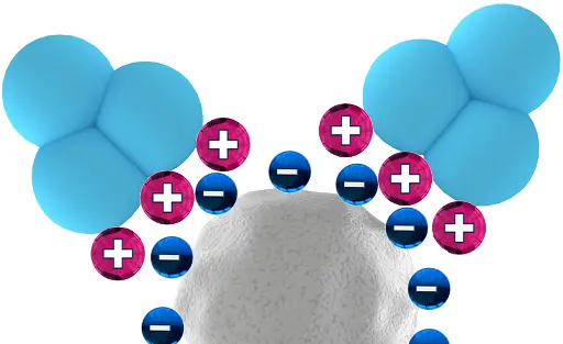 Principle of cation exchange chromatography