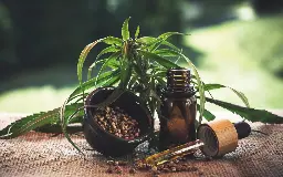 Determination of mycotoxins – in cannabis and cannabis derived products with fluorescence detection