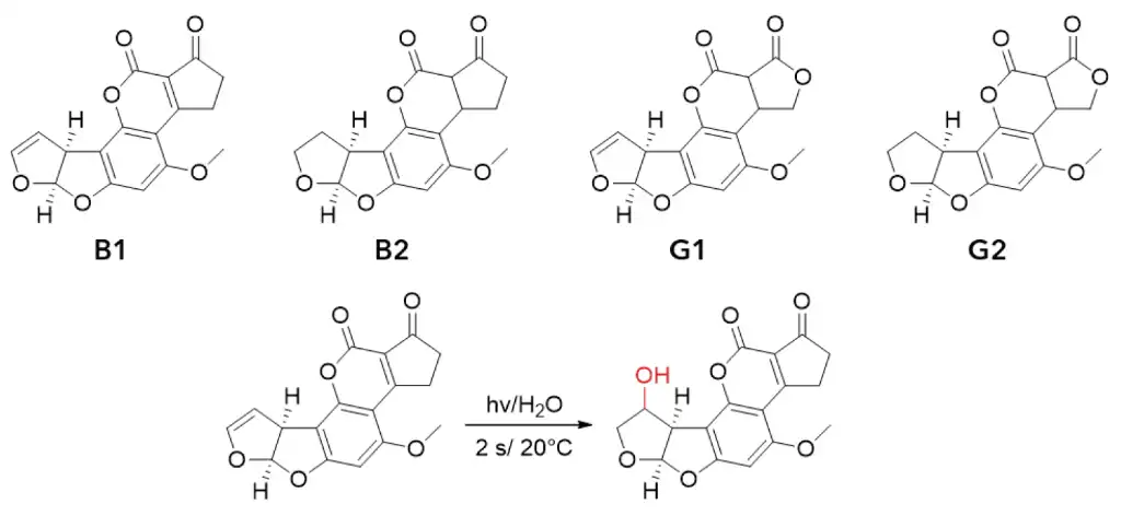 Chemical structures of the four aflatoxins and the reaction mechanism of the photochemical activation. Chemical structures of the four aflatoxins and the reaction mechanism of the photochemical activation.