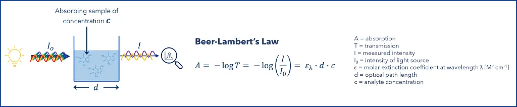 Figure 1: UV detection principle with absorbance according to the Beer-Lambert’s Law. Figure 1: UV detection principle with absorbance according to the Beer-Lambert’s Law.