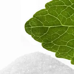 Determination of six steviol glycosides using reversed phased HPLC and online SPE Determination of six steviol glycosides using reversed phased HPLC and online SPE