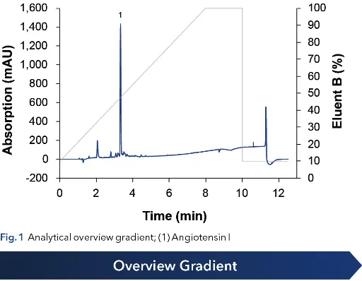 Fig. 1  Analytical overview gradient; (1) Angiotensin I