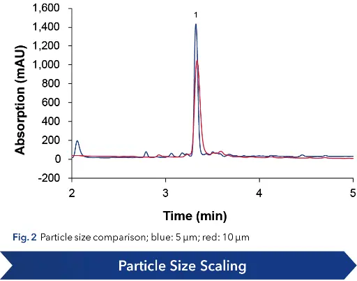 Fig. 2  Particle size comparison; blue: 5 µm; red: 10 µm