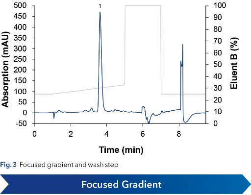Fig. 3  Focused gradient and wash step