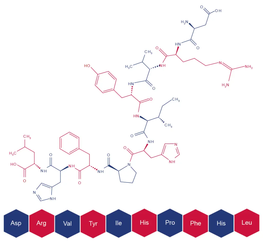 Struktur von Angiotensin