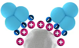 Separation of proteins with anion exchange chromatography on Sepapure Q and DEAE