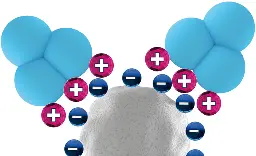 Principle of cation exchange chromatography