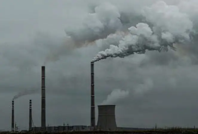 GPC vs. SPE and subsequent determination of polycyclic aromatic hydrocarbons using GC/MS