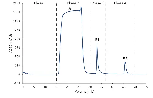 Fig. 1 Chromatogram of the two-step mouse IgG purification; Phase 1 Affinity chromatography (AC): 1 Column equilibration with buffer A; 2 Feed injection and column washing; 3 Elution of IgG from protein A column with buffer B and parking in 1mL sample loop; Phase 2 - Buffer exchange with desalting column: 4. Elution of IgG with buffer C; A–flow through; B1–elution peak of IgG from protein A column; B2-elution peak of IgG after desalting column