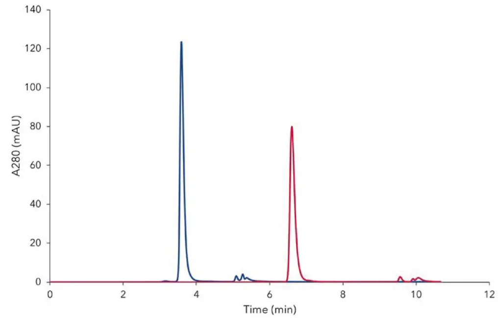 Fig. 1  Chromatograms overlay of IgG, obtained from measurement of diluted sample 1 mg/mL measured with 300 mm (red) and 150 mm (blue) columns, injection volume 5 µL