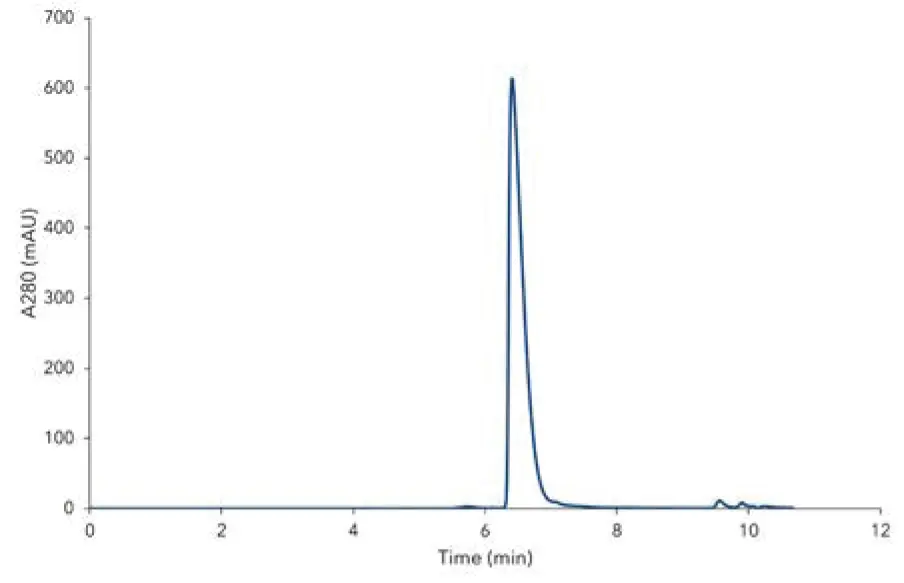 Fig. A2  Chromatogram of IgG, obtained from measurement of stock solution. Sample concentration 10 mg/mL, injection volume 5 µL