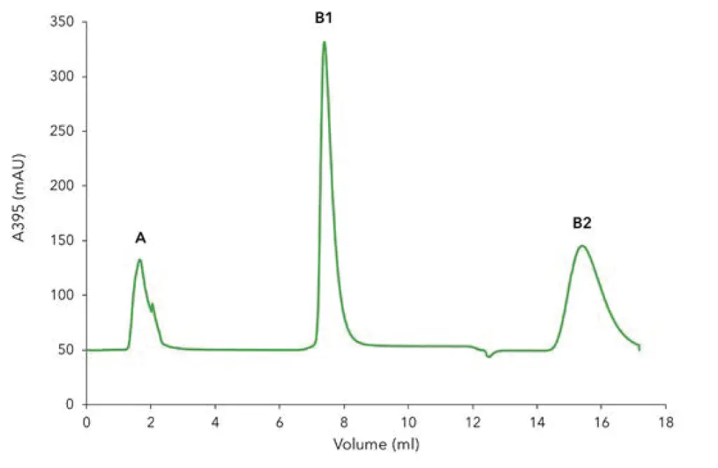 Fig. 2 Chromatogram of the two-step 6xHis-GFP, GFP detection with 395 nm UV signal. A) flow through of unbound protein; B1) elution peak of 6xHis-GFP from Ni-NTA column; B2) elution peak of 6xHis-GFP.