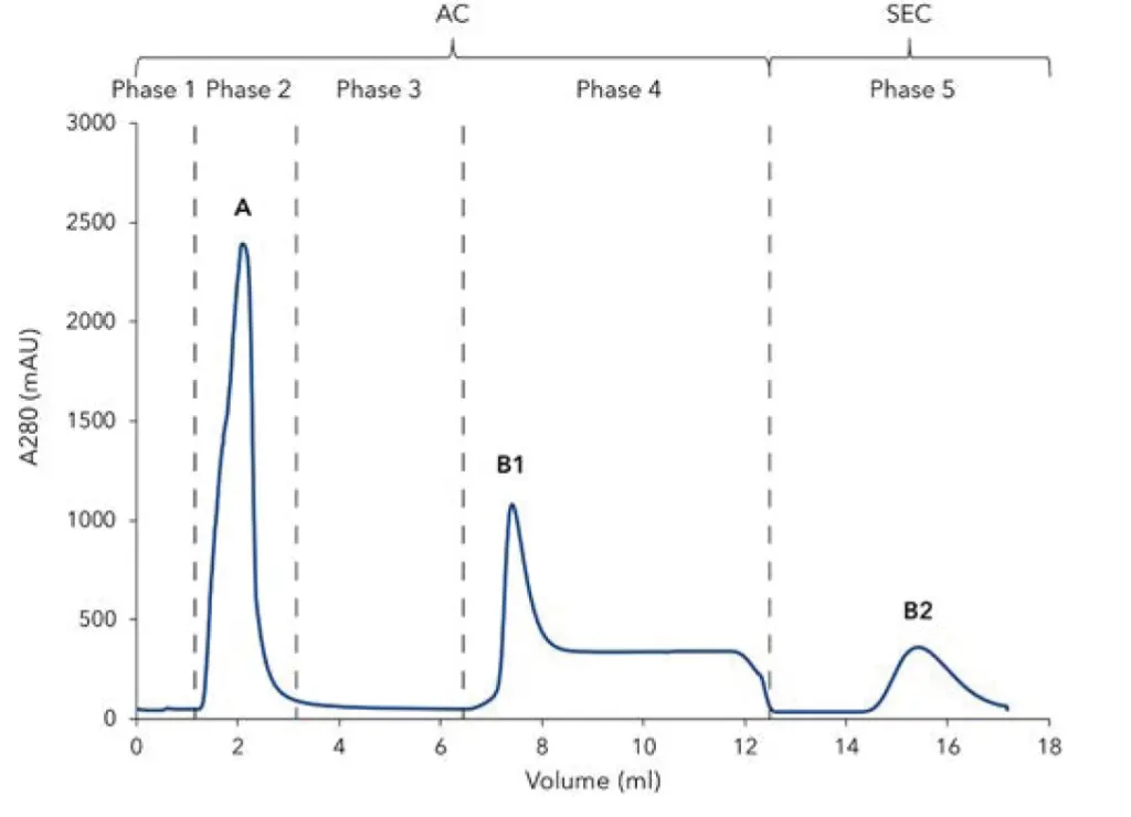 Fig. 1 Chromatogram of the two-step 6xHis-GFP purification; 280 nm UV signal. Step 1) Affinity chromatography (AC) / Ni-NTA column: 1) Column equilibration; 2) Sample injection; 3) Column washing; 4) Elution of 6xHis-GFP and parking in 1 mL sample loop. Step 2) Buffer exchange with desalting column: 5) Elution of 6xHis-GFP. A) flow through of unbound protein; B1) elution peak of 6xHis-GFP from Ni-NTA column; B2) elution peak of 6xHis-GFP.