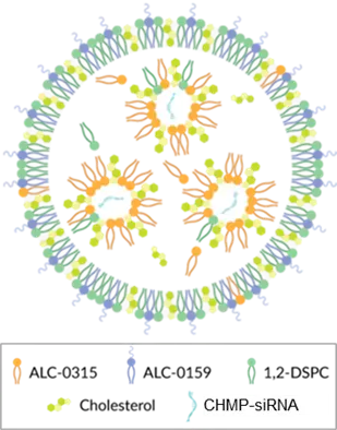 Left: LNP containing lipid components. Left: LNP containing lipid components.