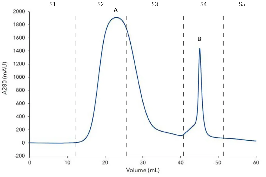 Fig. 1 Chromatogram of SOx affinity purification; A) flow through of unbound protein, B) elution peak of SOx; S1) column equilibration, S2) sample application, S3) column washing, S4 – elution of His-tagged Sox, S5 – re-equlibration Fig. 1 Chromatogram of SOx affinity purification; A) flow through of unbound protein, B) elution peak of SOx; S1) column equilibration, S2) sample application, S3) column washing, S4 – elution of His-tagged Sox, S5 – re-equlibration