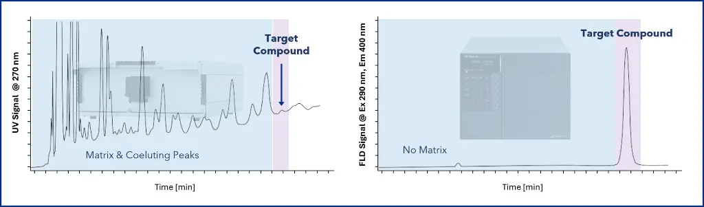 Figure 6: UV vs FL detection. With UVD (left), the target compound gives only a low-intensity peak, showing interference from the matrix and co-eluting peaks. FLD (right) provides a highly selective and sensitive peak for the target compound while eliminating matrix peaks. Figure 6: UV vs FL detection. With UVD (left), the target compound gives only a low-intensity peak, showing interference from the matrix and co-eluting peaks. FLD (right) provides a highly selective and sensitive peak for the target compound while eliminating matrix peaks.