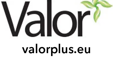 Logo Valor Logo Valor