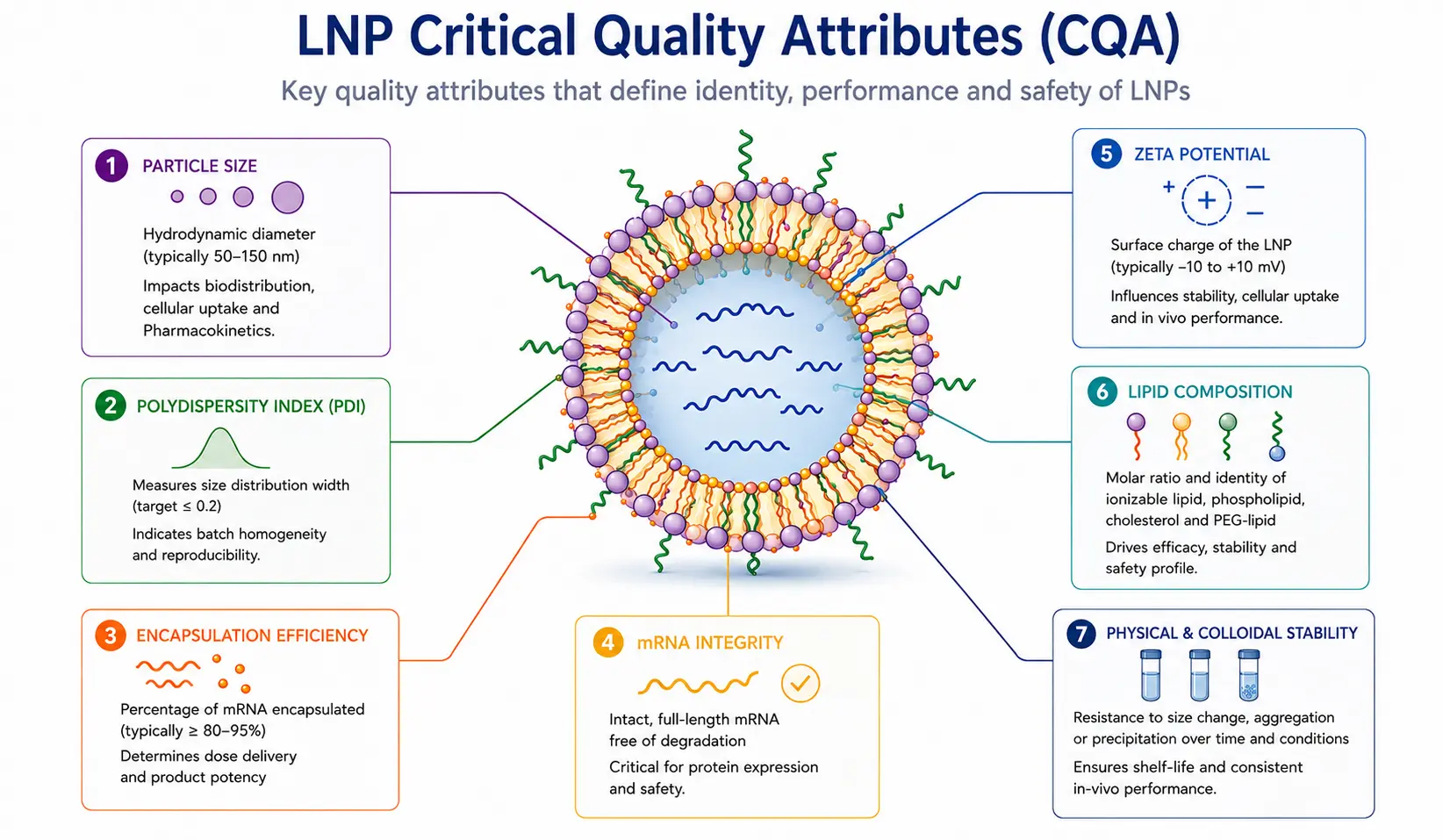 Figure 2:   Overview of the key Critical Quality Attributes (CQAs) that define the quality, performance, and safety of lipid nanoparticles